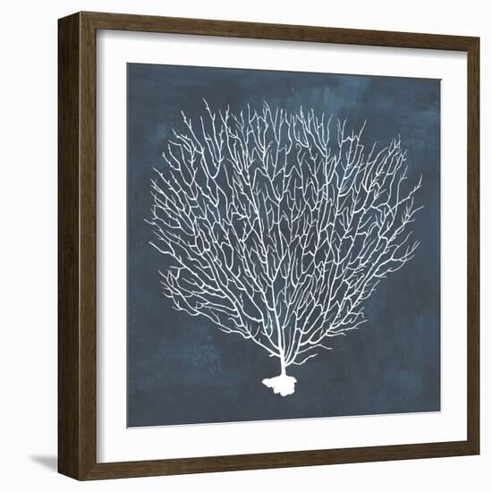 Inverse Sea Fan IV-Grace Popp-Framed Art Print