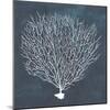 Inverse Sea Fan IV-Grace Popp-Mounted Art Print