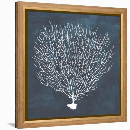 Inverse Sea Fan IV-Grace Popp-Framed Stretched Canvas