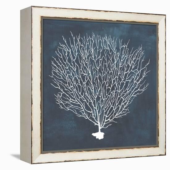 Inverse Sea Fan IV-Grace Popp-Framed Stretched Canvas