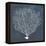 Inverse Sea Fan IV-Grace Popp-Framed Stretched Canvas