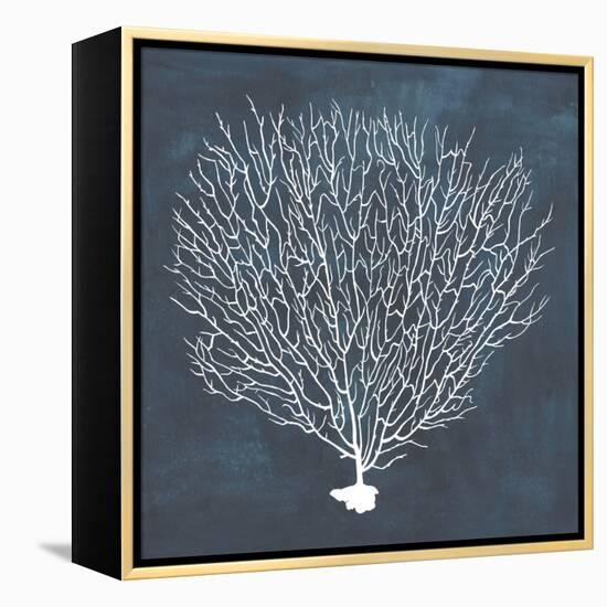 Inverse Sea Fan IV-Grace Popp-Framed Stretched Canvas