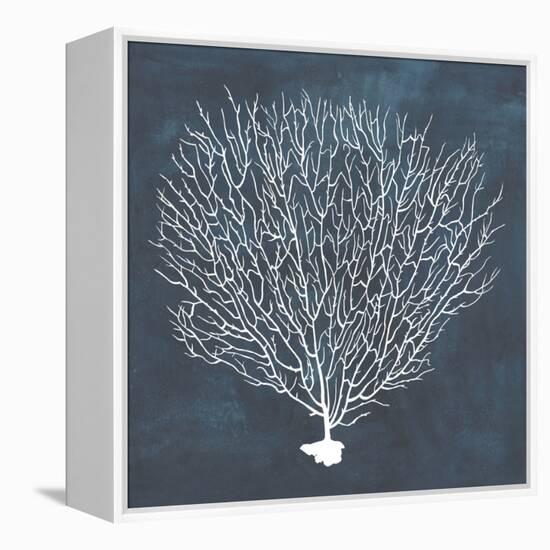 Inverse Sea Fan IV-Grace Popp-Framed Stretched Canvas