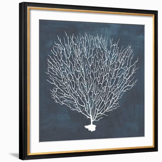 Inverse Sea Fan IV-Grace Popp-Framed Giclee Print