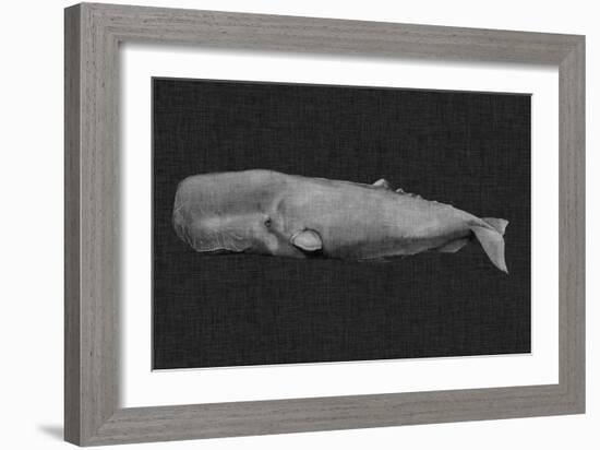 Inverted Whale I-Grace Popp-Framed Art Print