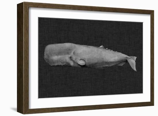 Inverted Whale I-Grace Popp-Framed Art Print