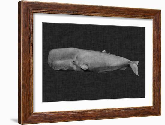 Inverted Whale I-Grace Popp-Framed Art Print