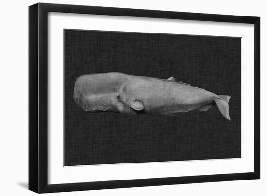 Inverted Whale I-Grace Popp-Framed Art Print