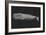 Inverted Whale I-Grace Popp-Framed Art Print