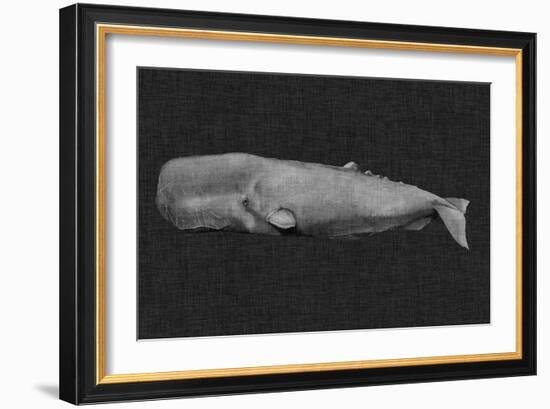 Inverted Whale I-Grace Popp-Framed Art Print