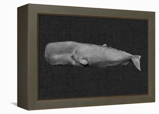 Inverted Whale I-Grace Popp-Framed Stretched Canvas