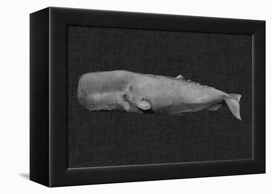 Inverted Whale I-Grace Popp-Framed Stretched Canvas