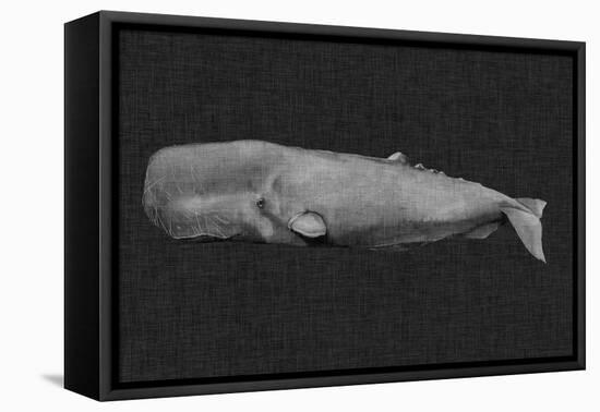 Inverted Whale I-Grace Popp-Framed Stretched Canvas