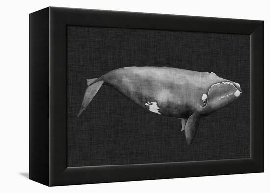 Inverted Whale II-Grace Popp-Framed Stretched Canvas