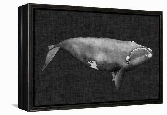 Inverted Whale II-Grace Popp-Framed Stretched Canvas