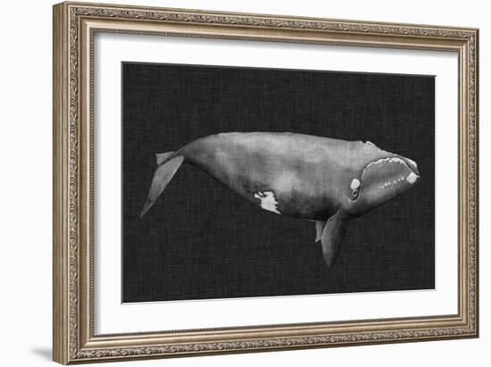 Inverted Whale II-Grace Popp-Framed Premium Giclee Print