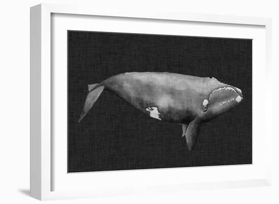 Inverted Whale II-Grace Popp-Framed Art Print