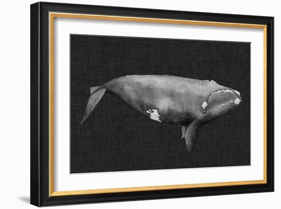 Inverted Whale II-Grace Popp-Framed Art Print