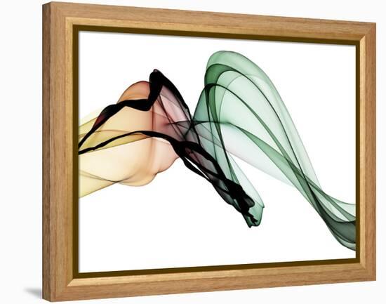 Invisible World I-Irena Orlov-Framed Premier Image Canvas