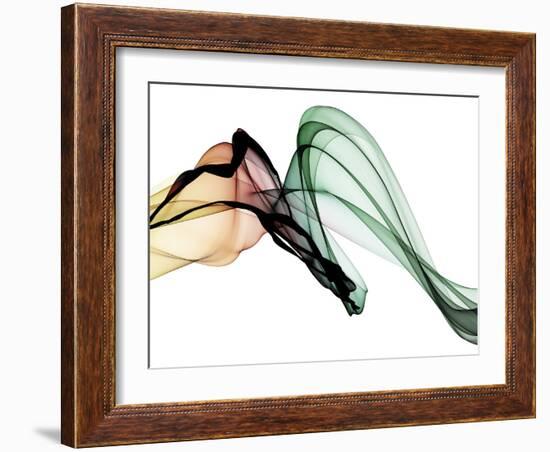 Invisible World I-Irena Orlov-Framed Photographic Print