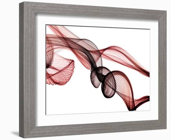 Invisible World II-Irena Orlov-Framed Photographic Print