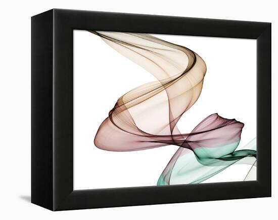 Invisible World III-Irena Orlov-Framed Premier Image Canvas