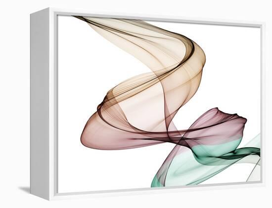 Invisible World III-Irena Orlov-Framed Premier Image Canvas