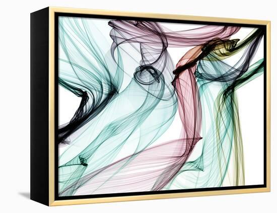 Invisible World V-Irena Orlov-Framed Premier Image Canvas