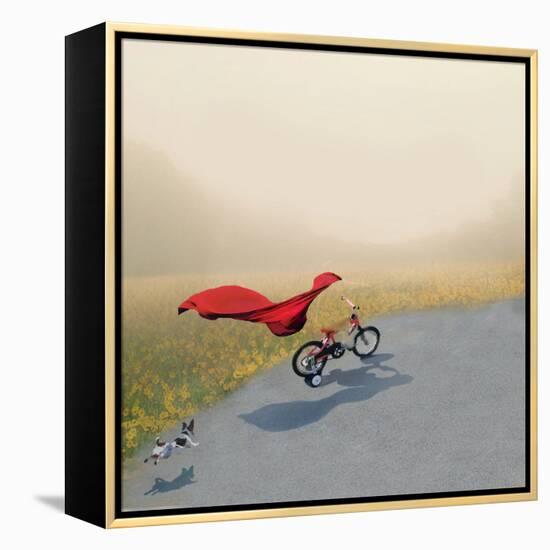 Invisible-Nancy Tillman-Framed Stretched Canvas