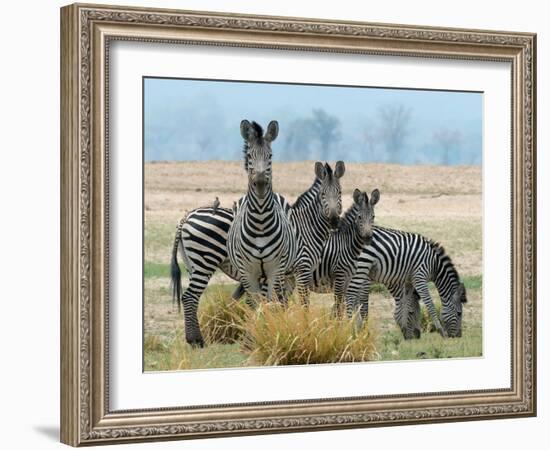 Invisible-Scott Bennion-Framed Photo