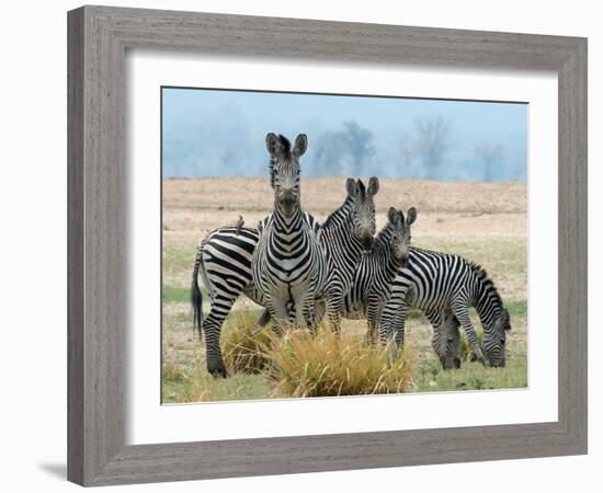 Invisible-Scott Bennion-Framed Photo