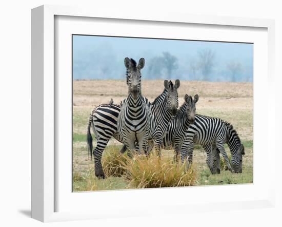 Invisible-Scott Bennion-Framed Photo