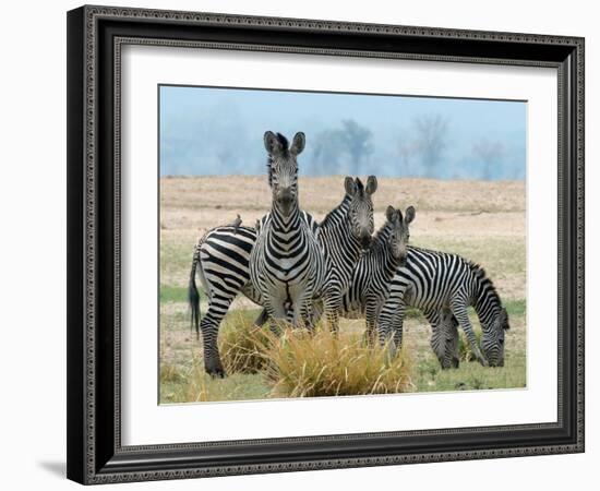 Invisible-Scott Bennion-Framed Photo