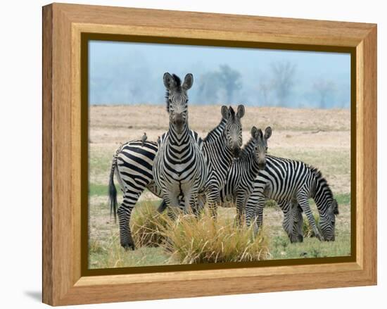 Invisible-Scott Bennion-Framed Stretched Canvas