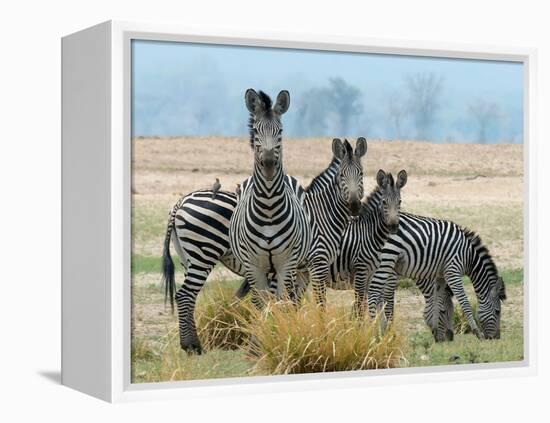 Invisible-Scott Bennion-Framed Stretched Canvas