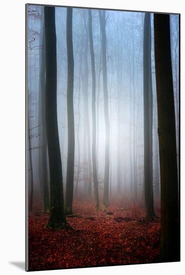 Invitation-Philippe Sainte-Laudy-Mounted Photographic Print