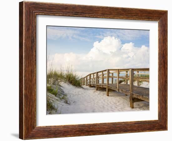 Inviting Boardwalk through the Sand Dunes on a Beautiful Beach in the Early Morning. Beautiful Puff-forestpath-Framed Photographic Print