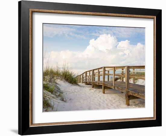 Inviting Boardwalk through the Sand Dunes on a Beautiful Beach in the Early Morning. Beautiful Puff-forestpath-Framed Photographic Print