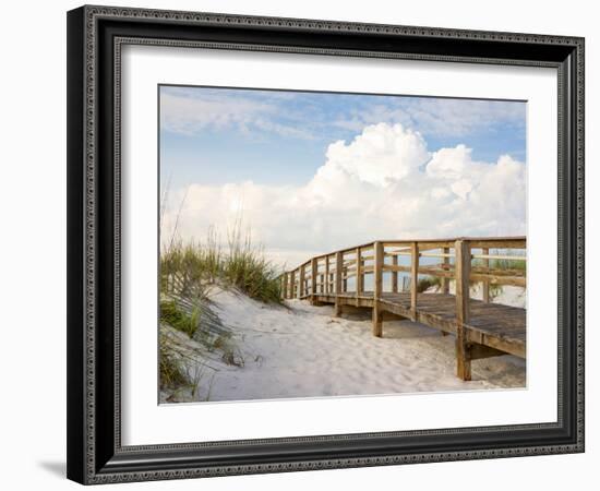 Inviting Boardwalk through the Sand Dunes on a Beautiful Beach in the Early Morning. Beautiful Puff-forestpath-Framed Photographic Print