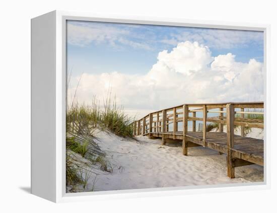 Inviting Boardwalk through the Sand Dunes on a Beautiful Beach in the Early Morning. Beautiful Puff-forestpath-Framed Premier Image Canvas