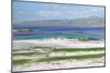 Iona Sound and Ben More-Francis Campbell Boileau Cadell-Mounted Giclee Print