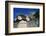 Ionic Marble Column Below Temple of Apollo-Paul Souders-Framed Photographic Print