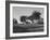 Iowa Farm Bureau-null-Framed Photographic Print