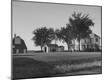 Photographic Print