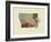 Iowa State Map-Lanre Adefioye-Framed Giclee Print