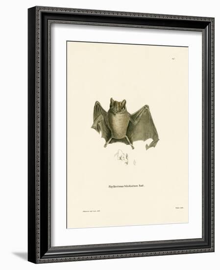 Ipanema Bat-null-Framed Giclee Print