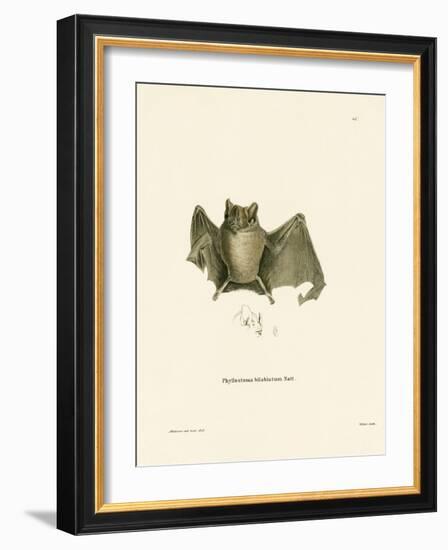 Ipanema Bat-null-Framed Giclee Print