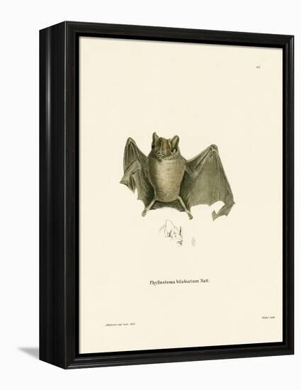 Ipanema Bat-null-Framed Premier Image Canvas