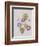 Ipomoea Violacea (Morning Glory)-Pierre-Joseph Redouté-Framed Giclee Print