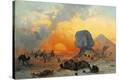 Stretched Canvas Print